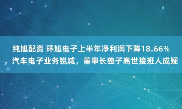 纯旭配资 环旭电子上半年净利润下降18.66%,汽车电子业务锐减,董事长独子离世接班人成疑