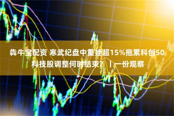 犇牛宝配资 寒武纪盘中重挫超15%拖累科创50 科技股调整何时结束？丨一份观察